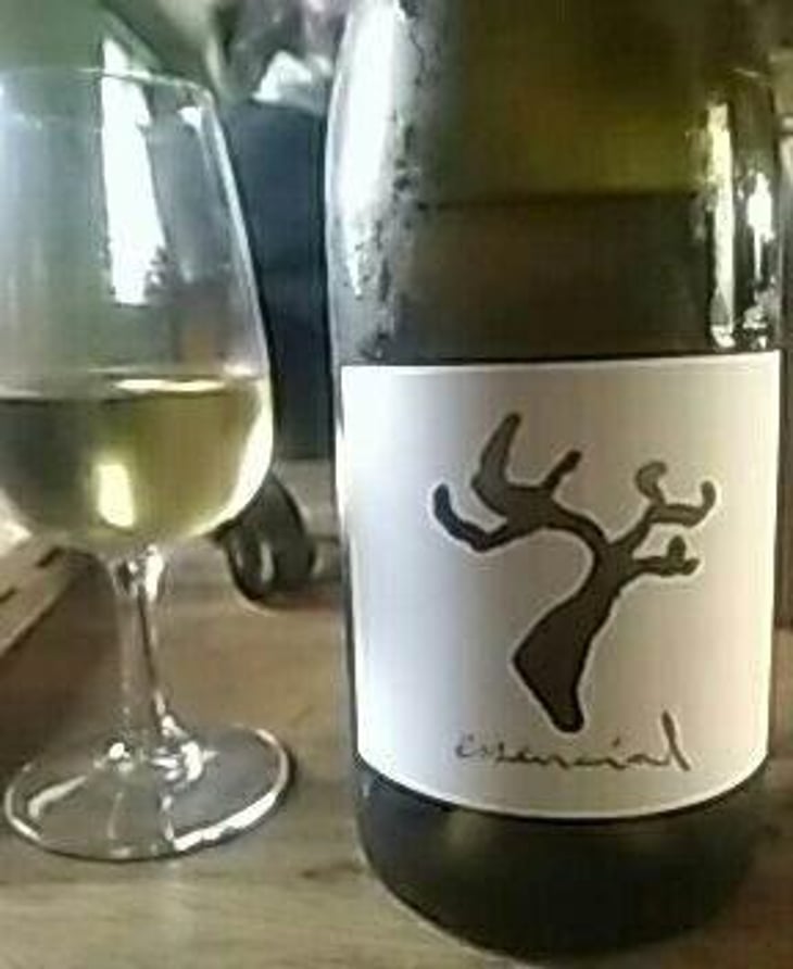 Essencial - Celler Cal Tiques - Joan Rubio 