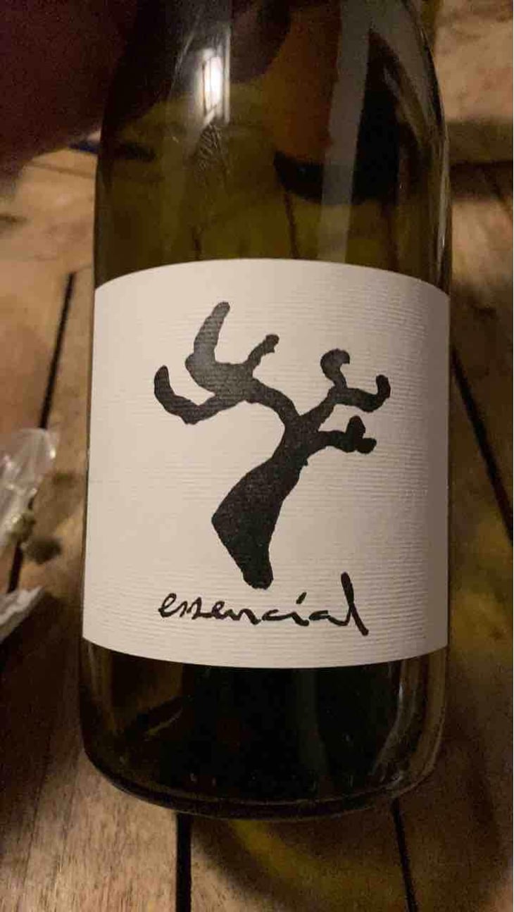 Essencial - Celler Cal Tiques - Joan Rubio 