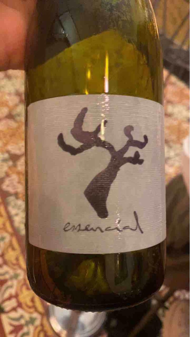 Essencial - Celler Cal Tiques - Joan Rubio 
