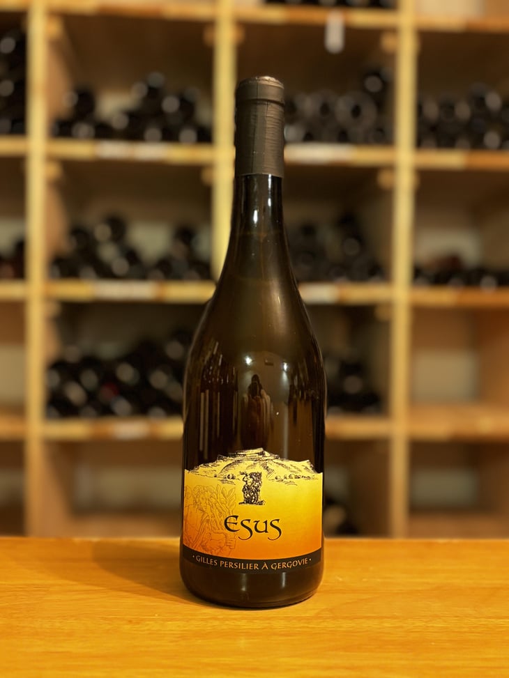 ESUS - Gilles Persilier - Gilles Persilier -2022