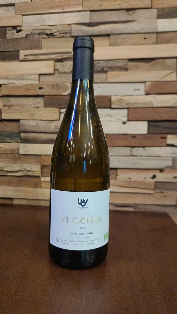 Et Caetera - Le Breton Vial - Julie Le Breton & Christophe Vial -2021