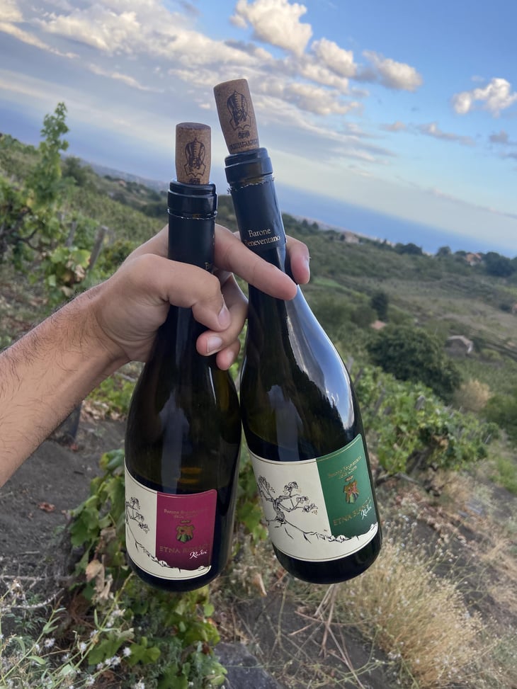 Etna Bianco - Barone Beneventano - Roberto & Pierluca Beneventano della Corte -2020