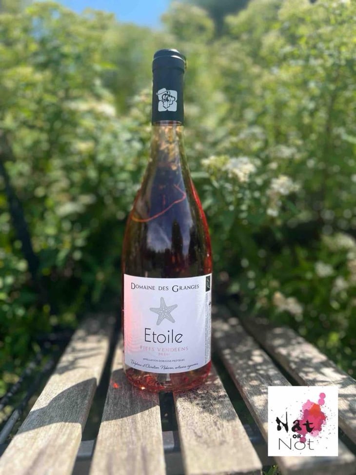 Etoile - Domaine des Granges - Delphine & Christian Nobiron -2019