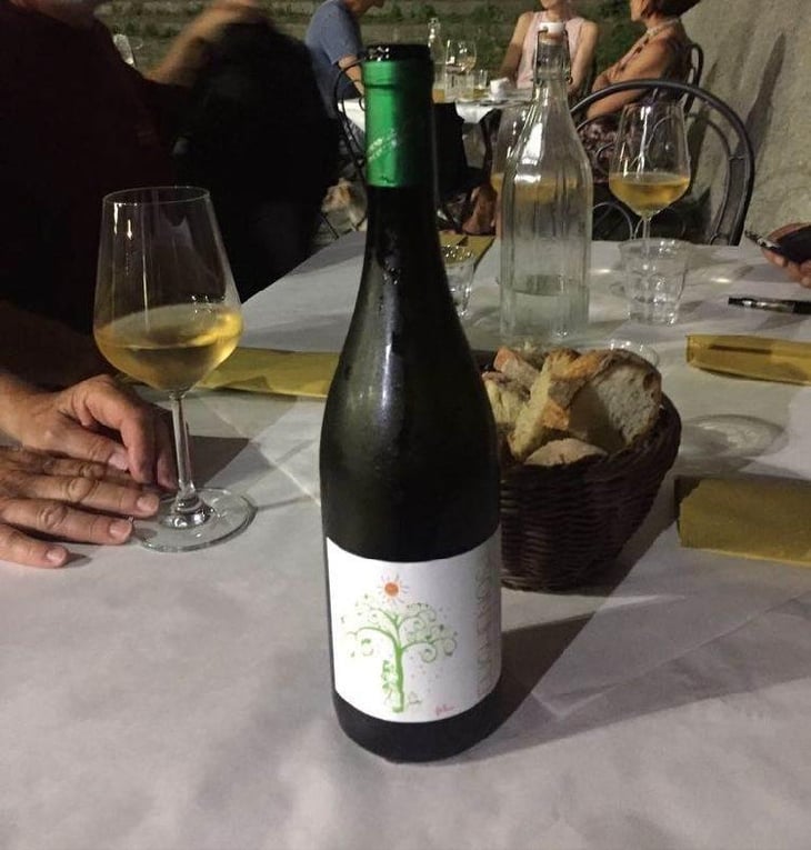 Eughenos (bianco) - Azienda Agricola Di Cato - Mariapaola Di Cato 