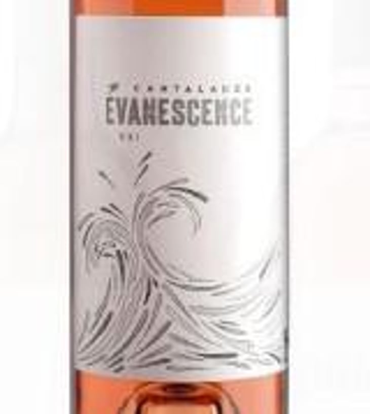 Evanescence - Domaine de Cantalauze - Pierre-Olivier & Pauline Laurent -2018