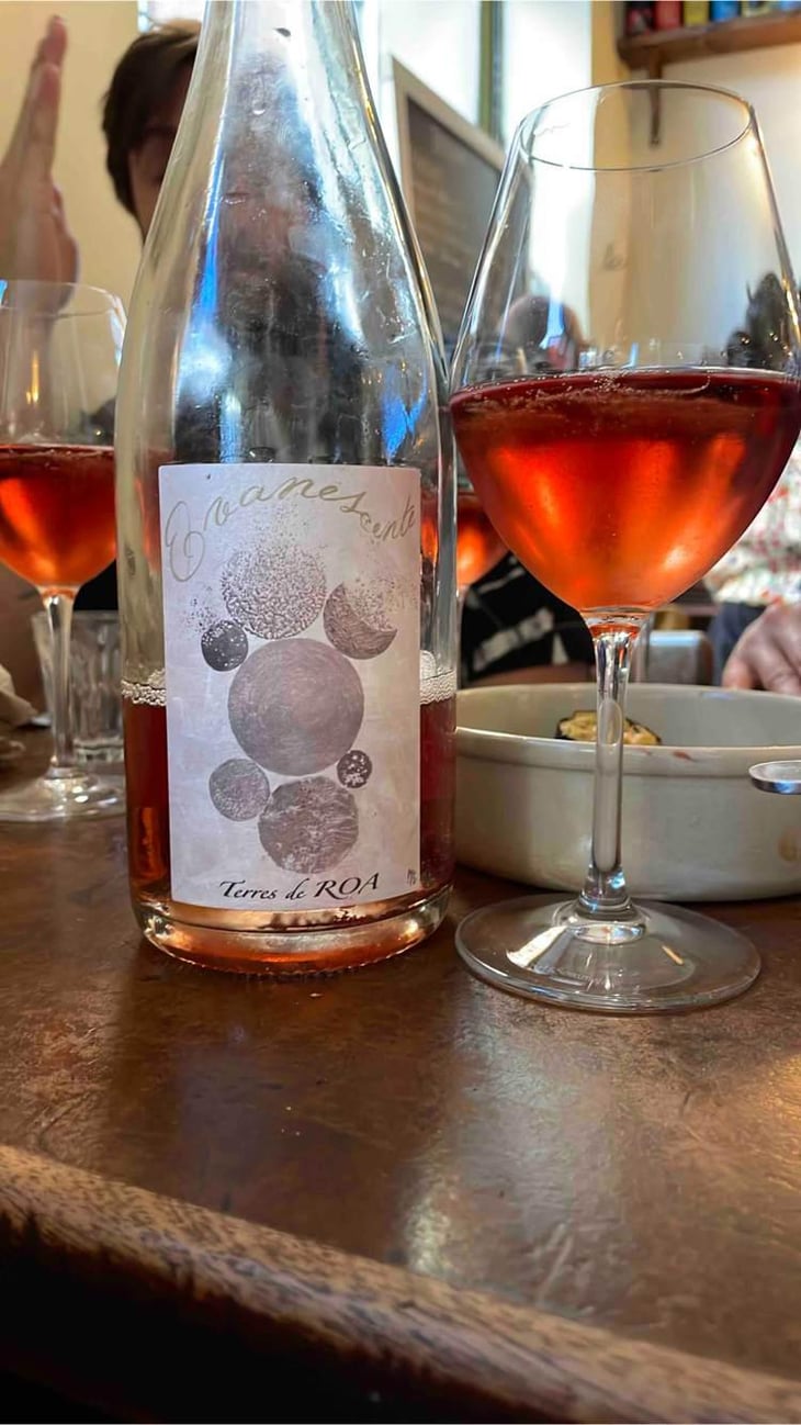 Cuvée Evanescente Rosé - Vignoble des Vernusses - Loren PETIT 