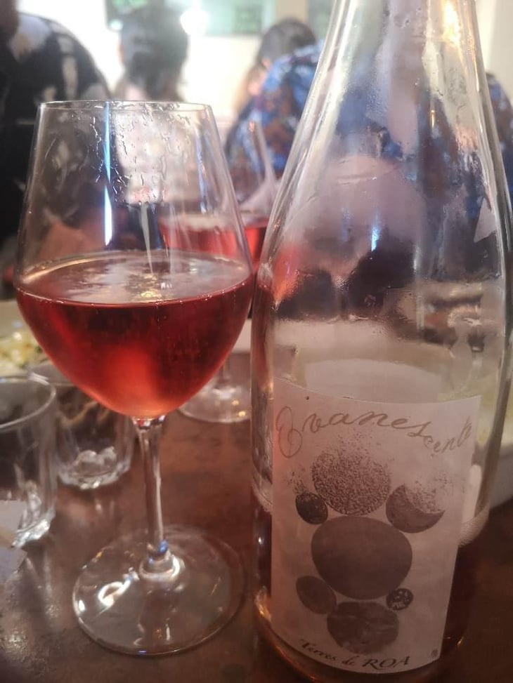 Cuvée Evanescente Rosé - Vignoble des Vernusses - Loren PETIT 