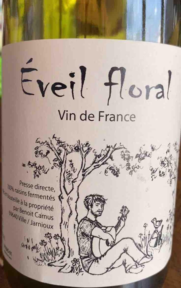 Eveil Floral - Benoit Camus - Benoit Camus -2019