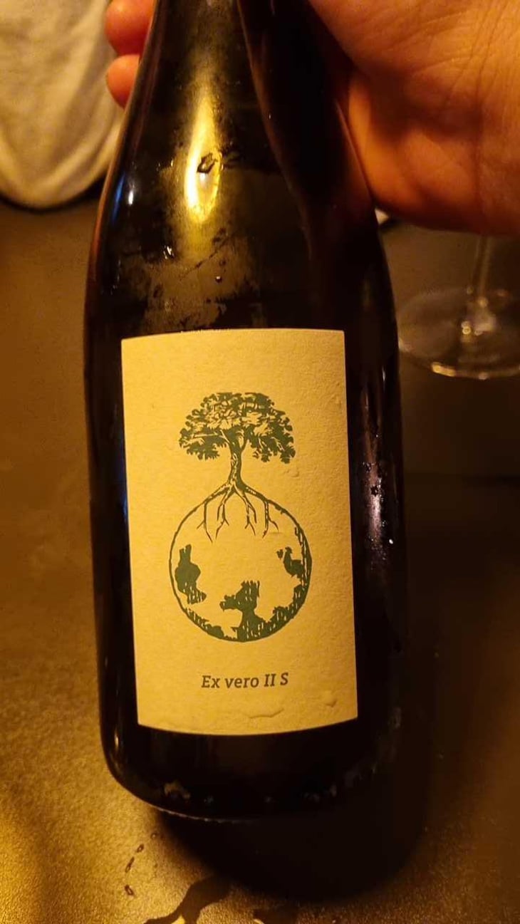 Ex Vero II S - Weingut Werlitsch - Ewald & Brigitte Tscheppe -2017