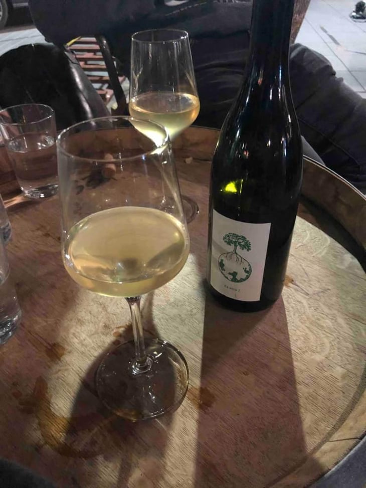 Ex Vero I - Weingut Werlitsch - Ewald & Brigitte Tscheppe 