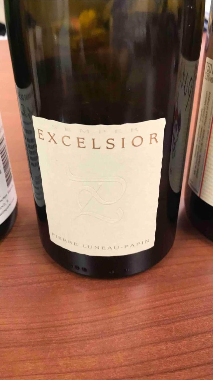 Excelsior - Domaine Pierre Luneau-Papin - Pierre-Marie & Marie Luneau 