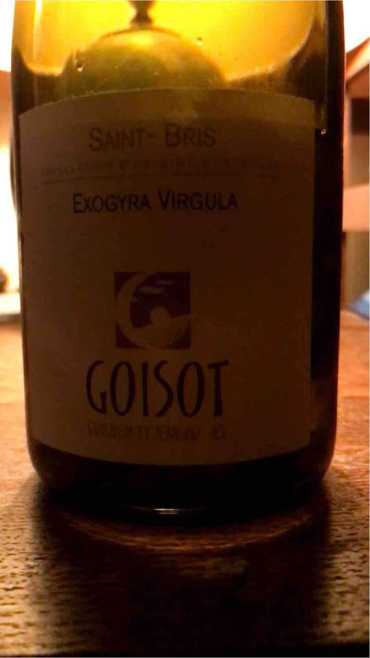 Exogyra Virgula - Domaine Goisot - Guilhem & Jean-Hugues Goisot 