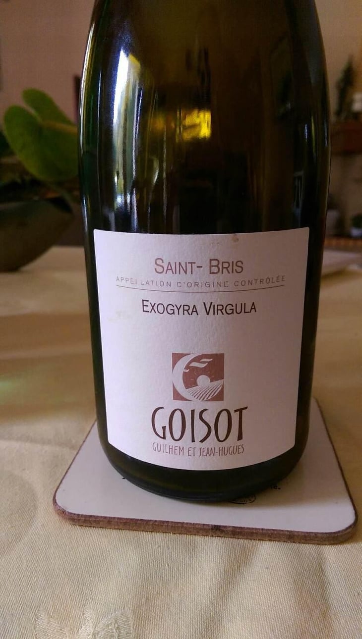 Exogyra Virgula - Domaine Goisot - Guilhem & Jean-Hugues Goisot 