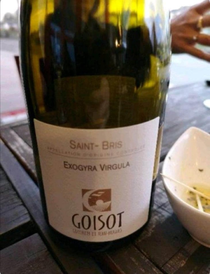 Exogyra Virgula - Domaine Goisot - Guilhem & Jean-Hugues Goisot 