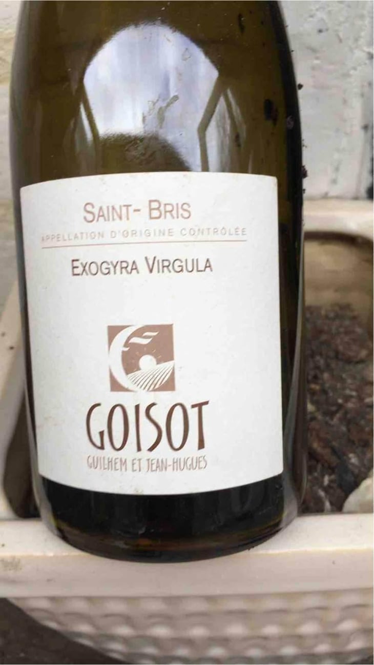 Exogyra Virgula - Domaine Goisot - Guilhem & Jean-Hugues Goisot 