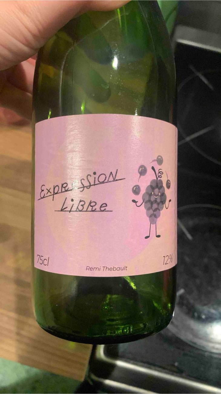 Expression Libre - Rémi Thebault - Rémi Thebault 