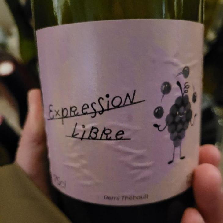 Expression Libre - Rémi Thebault - Rémi Thebault 