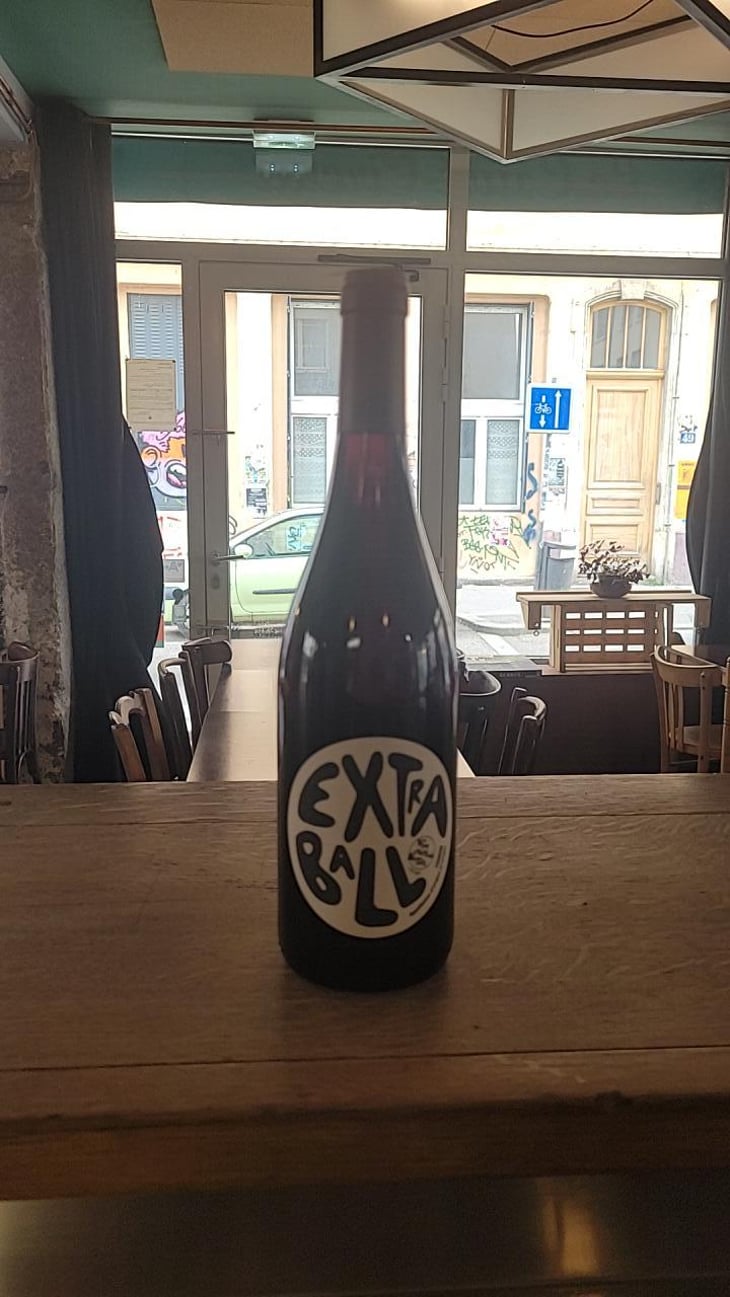 Extraball - Domaine Grosbois - Sylvain & Nicolas Grosbois 