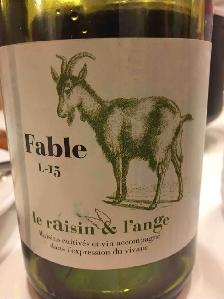 Fable - Le Raisin et l'Ange - Gilles & Antonin Azzoni 