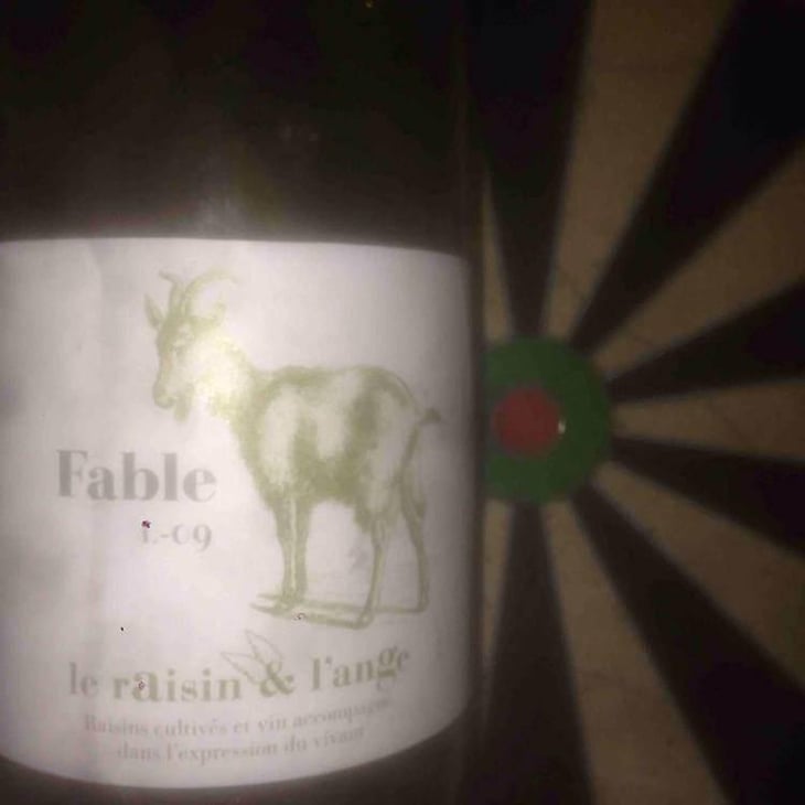 Fable - Le Raisin et l'Ange - Gilles & Antonin Azzoni 