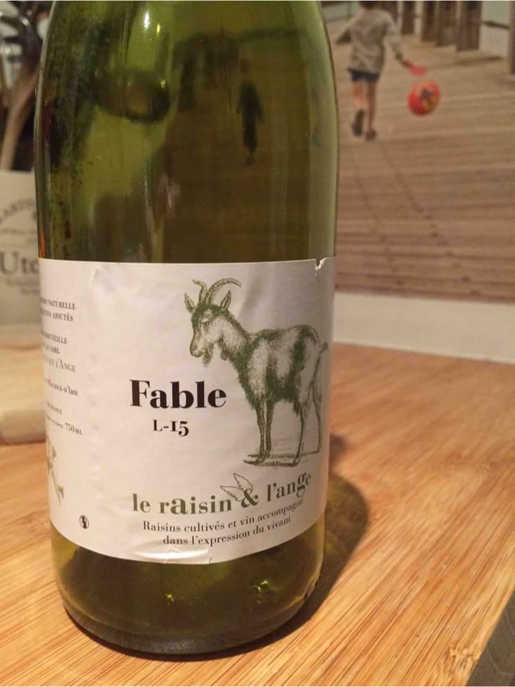 Fable - Le Raisin et l'Ange - Gilles & Antonin Azzoni 
