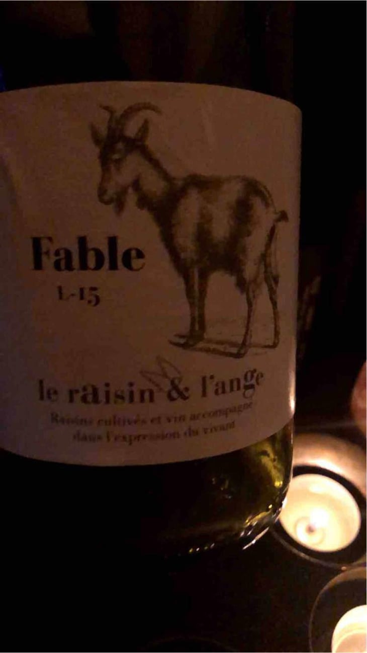 Fable - Le Raisin et l'Ange - Gilles & Antonin Azzoni 
