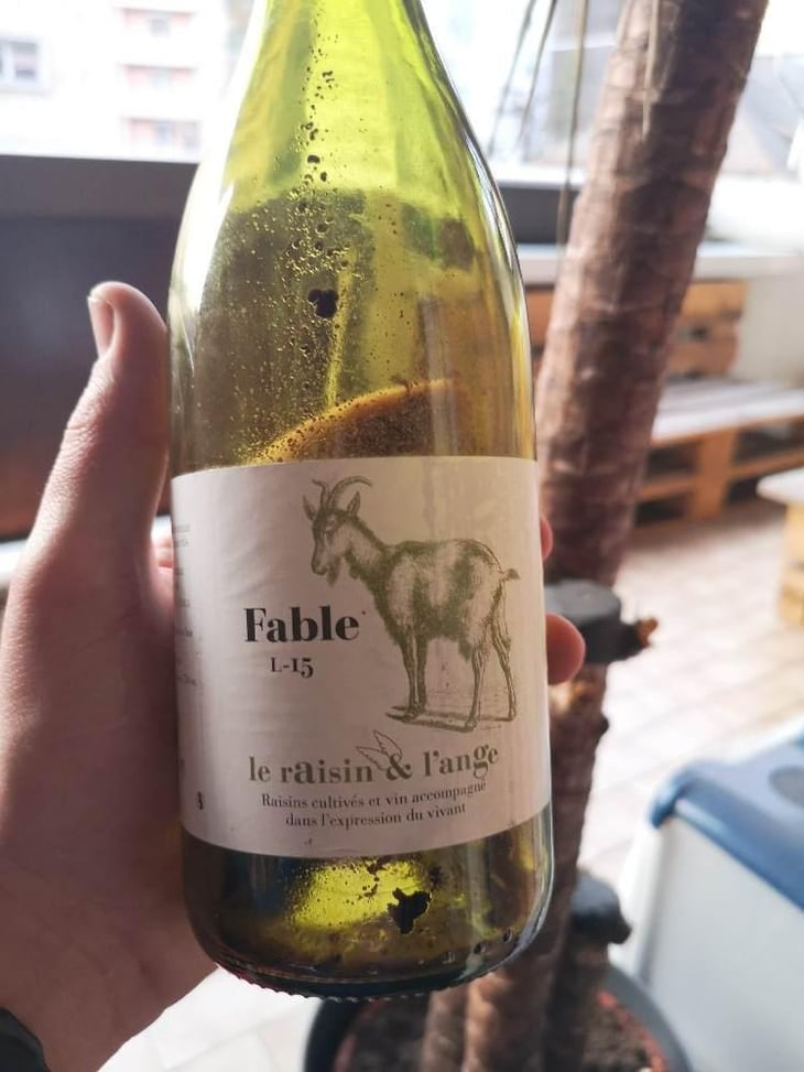 Fable - Le Raisin et l'Ange - Gilles & Antonin Azzoni 