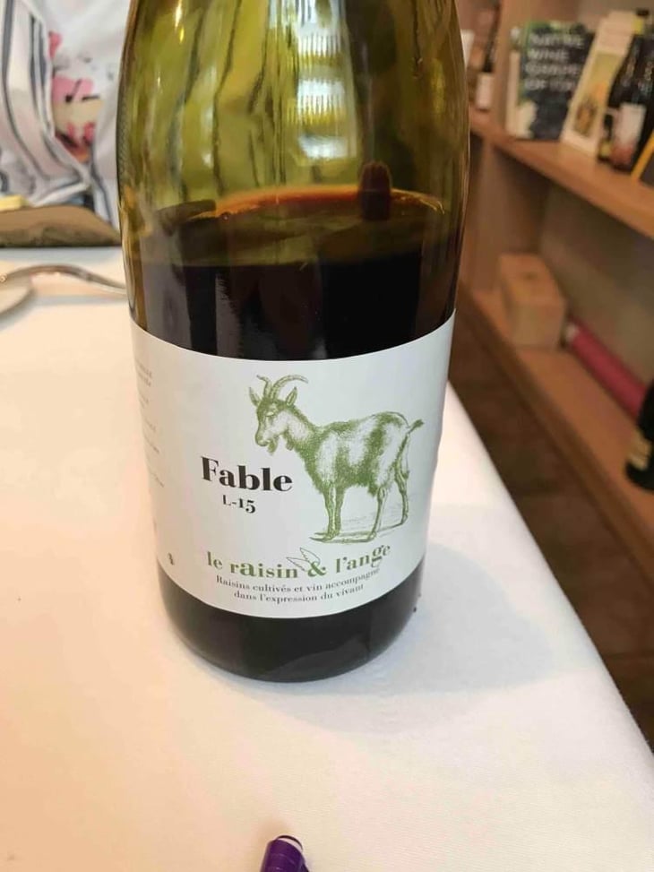 Fable - Le Raisin et l'Ange - Gilles & Antonin Azzoni 