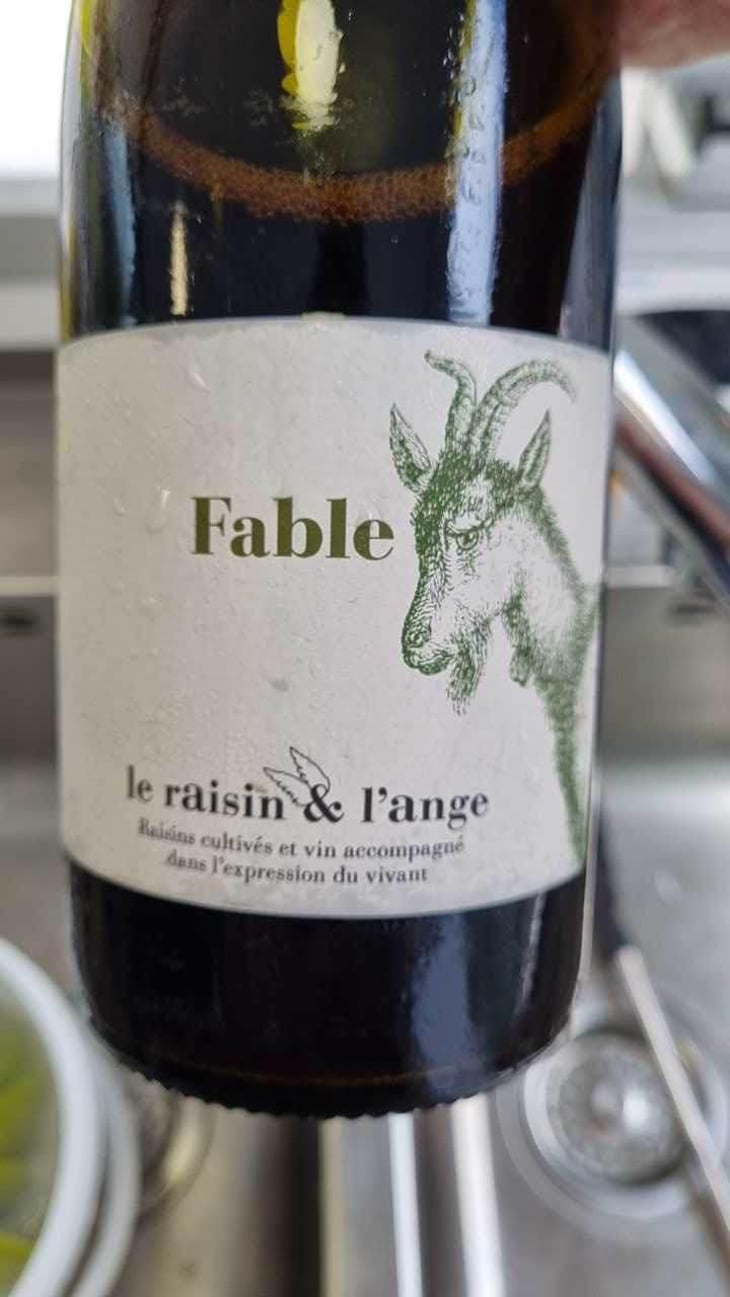 Fable - Le Raisin et l'Ange - Gilles & Antonin Azzoni 