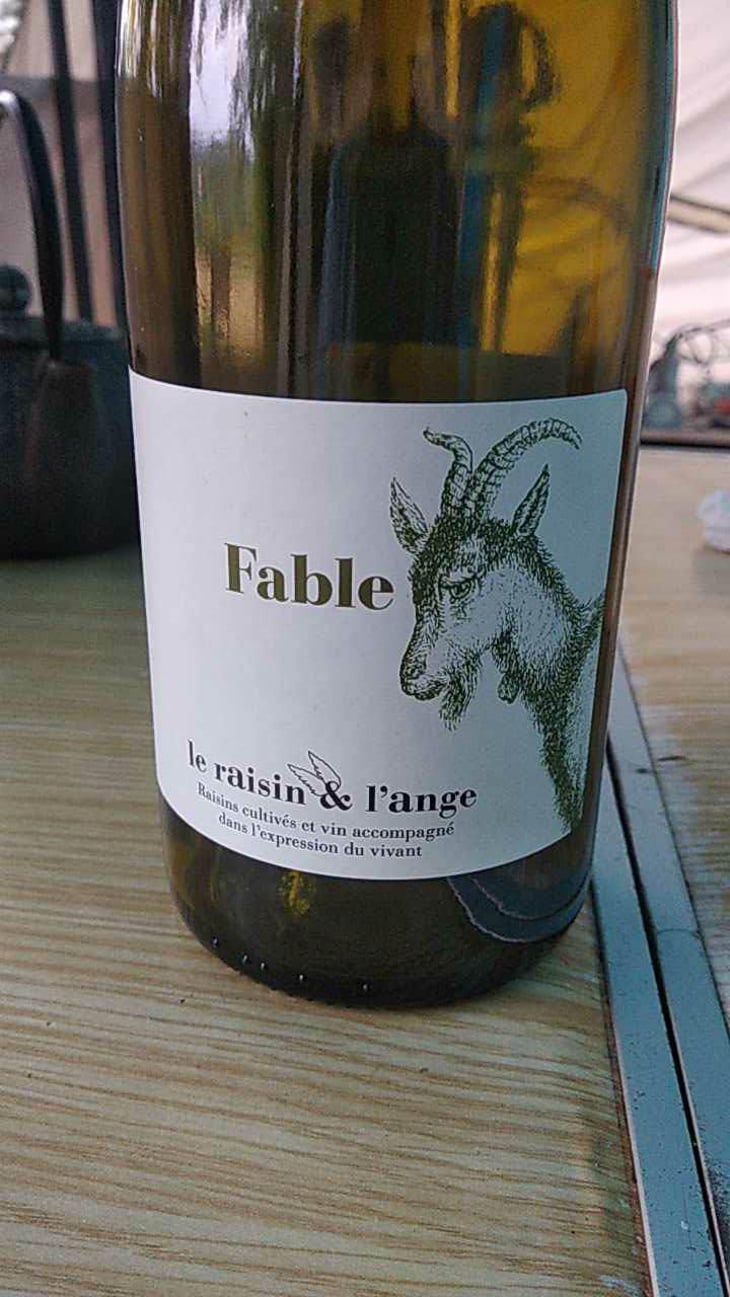 Fable - Le Raisin et l'Ange - Gilles & Antonin Azzoni 