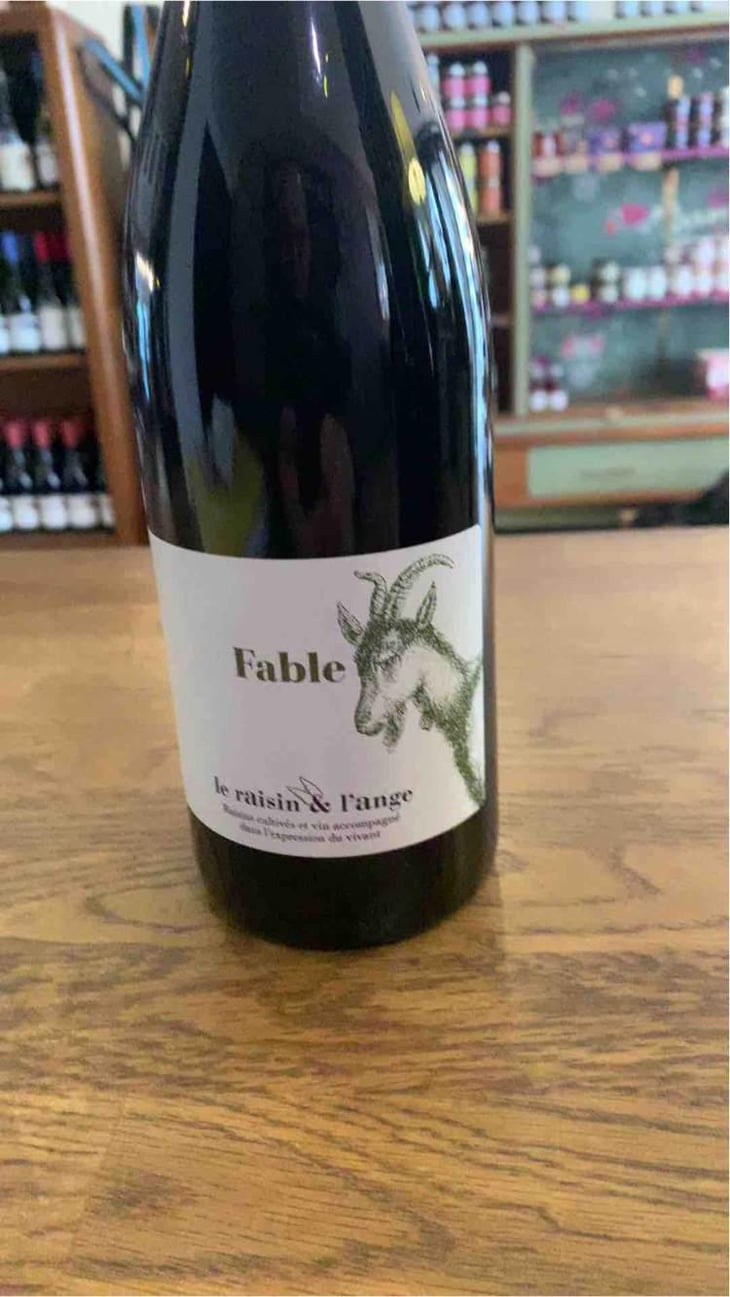 Fable - Le Raisin et l'Ange - Gilles & Antonin Azzoni 