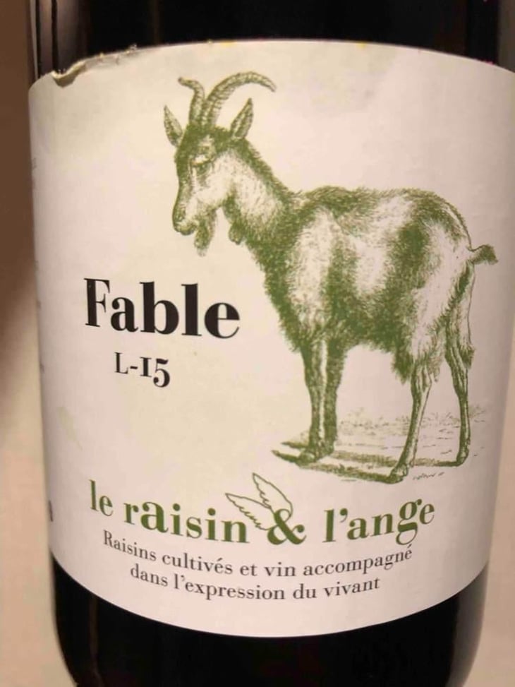 Fable - Le Raisin et l'Ange - Gilles & Antonin Azzoni 