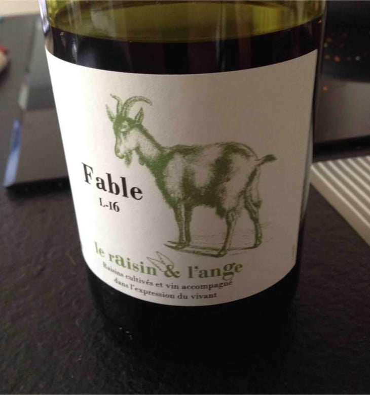 Fable - Le Raisin et l'Ange - Gilles & Antonin Azzoni 
