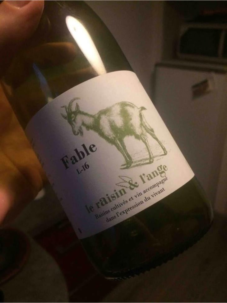 Fable - Le Raisin et l'Ange - Gilles & Antonin Azzoni 