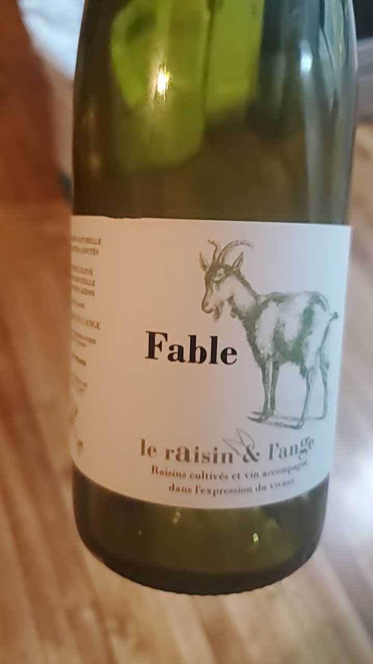 Fable - Le Raisin et l'Ange - Gilles & Antonin Azzoni 