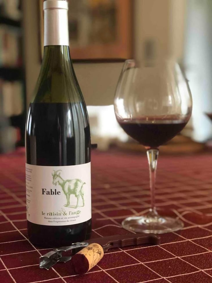 Fable - Le Raisin et l'Ange - Gilles & Antonin Azzoni 