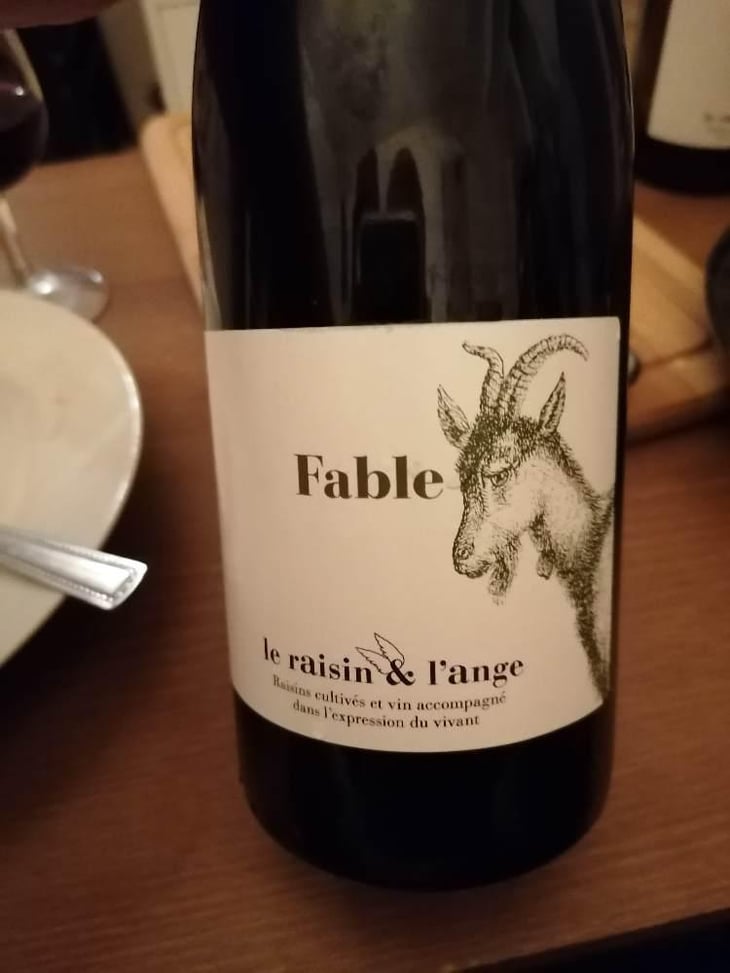 Fable - Le Raisin et l'Ange - Gilles & Antonin Azzoni 