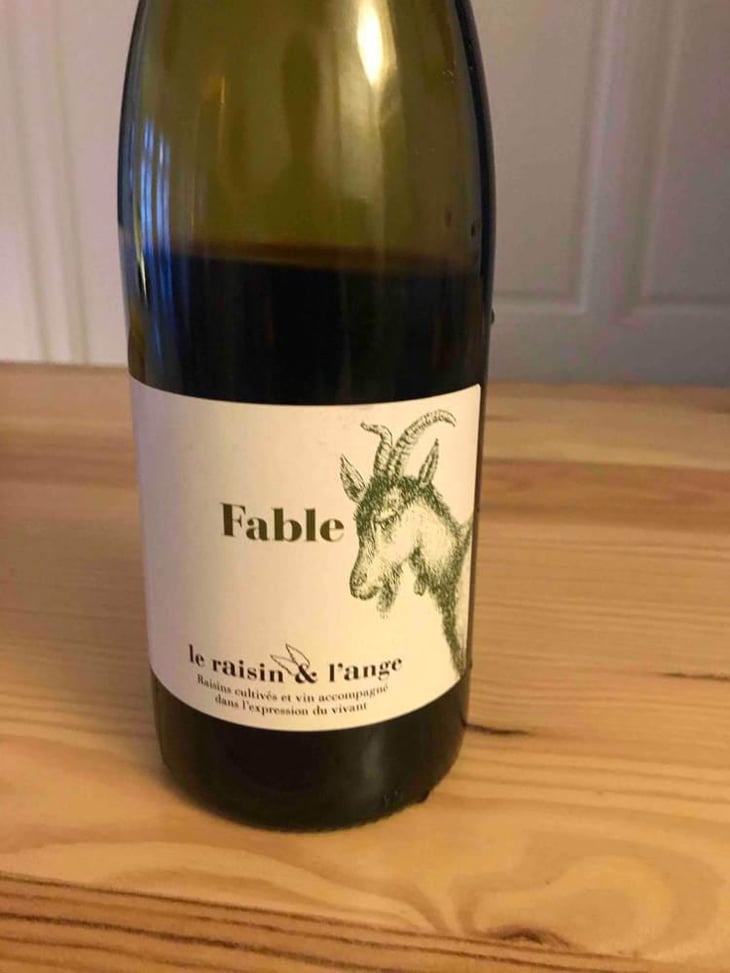 Fable - Le Raisin et l'Ange - Gilles & Antonin Azzoni 