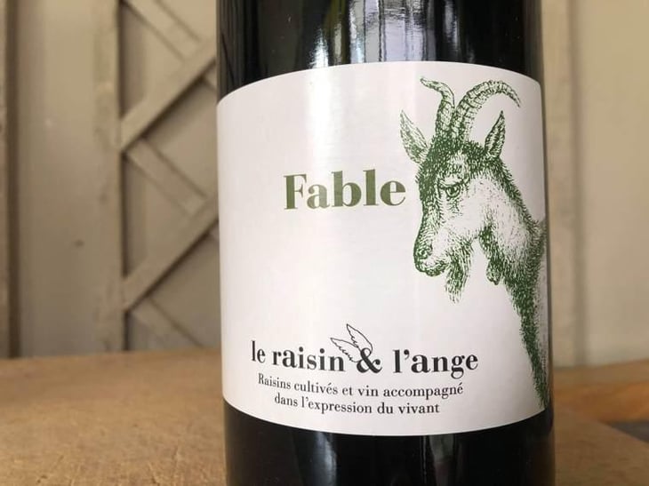 Fable - Le Raisin et l'Ange - Gilles & Antonin Azzoni 