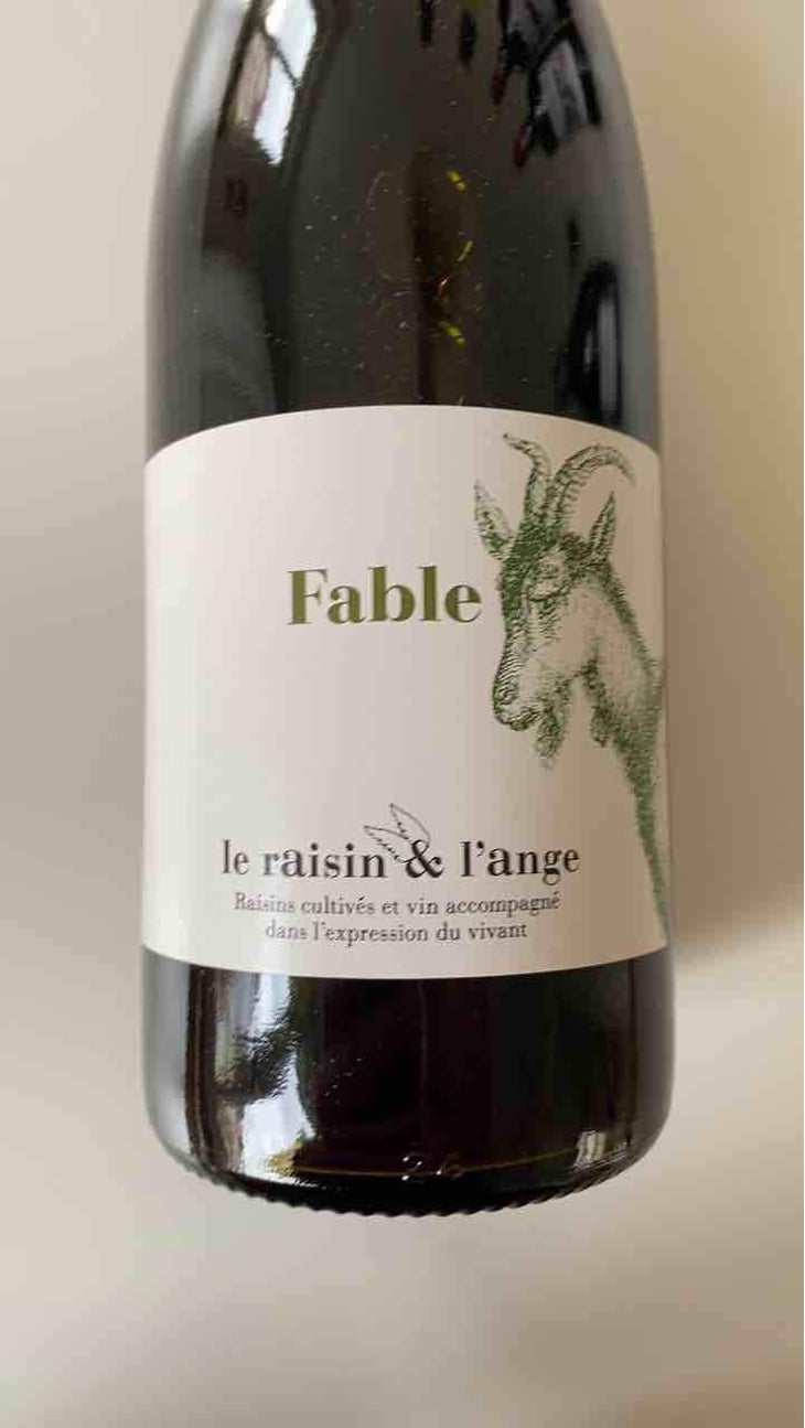 Fable - Le Raisin et l'Ange - Gilles & Antonin Azzoni 