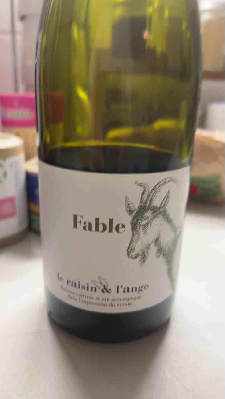 Fable - Le Raisin et l'Ange - Gilles & Antonin Azzoni 