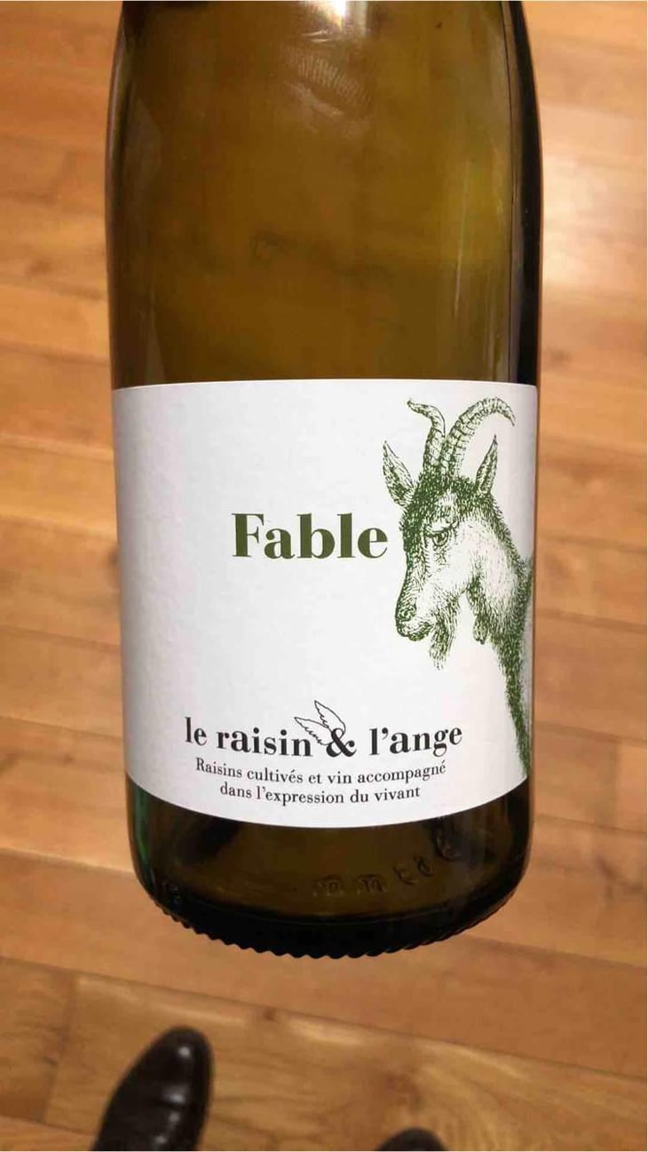 Fable - Le Raisin et l'Ange - Gilles & Antonin Azzoni 