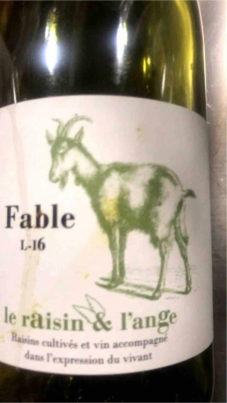 Fable - Le Raisin et l'Ange - Gilles & Antonin Azzoni 