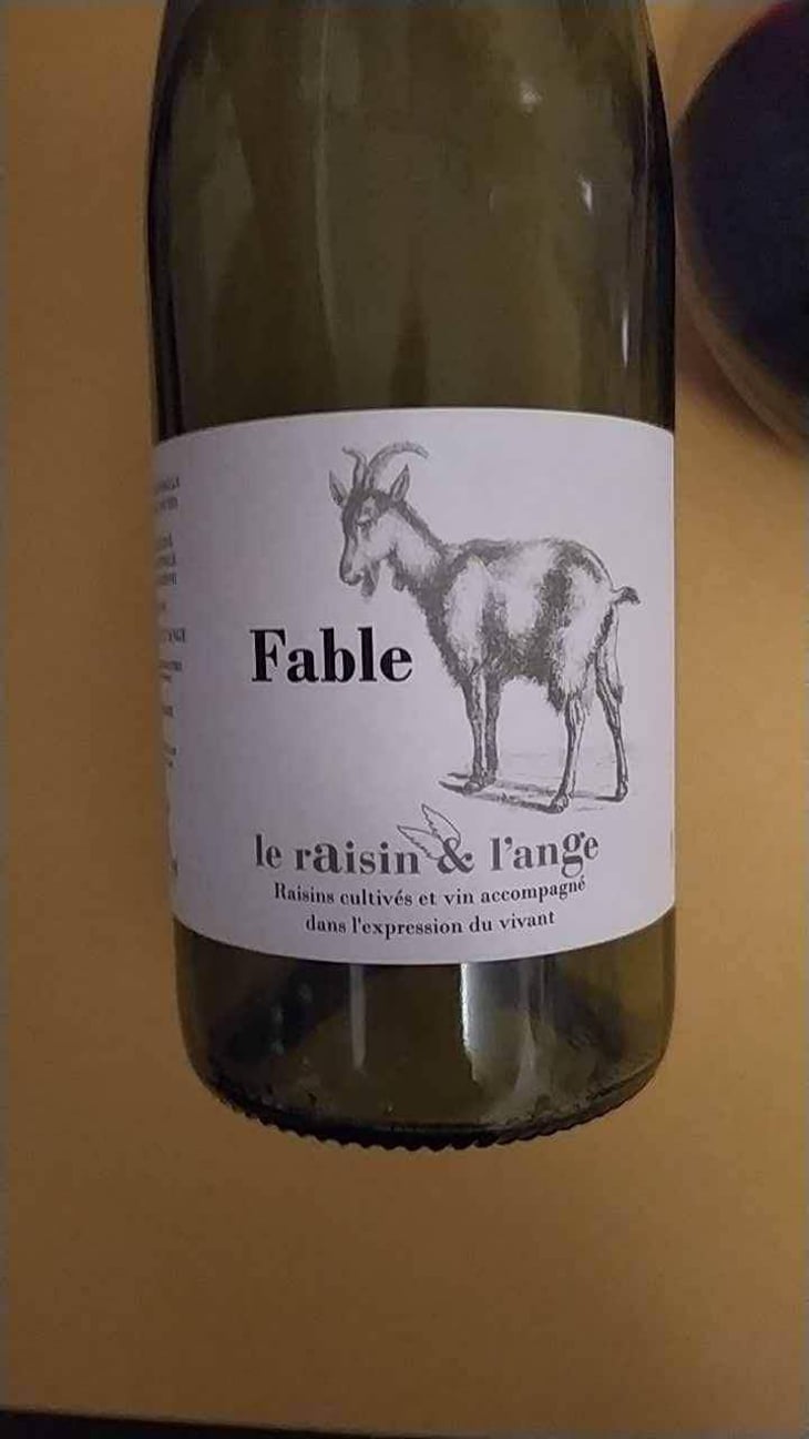 Fable - Le Raisin et l'Ange - Gilles & Antonin Azzoni 