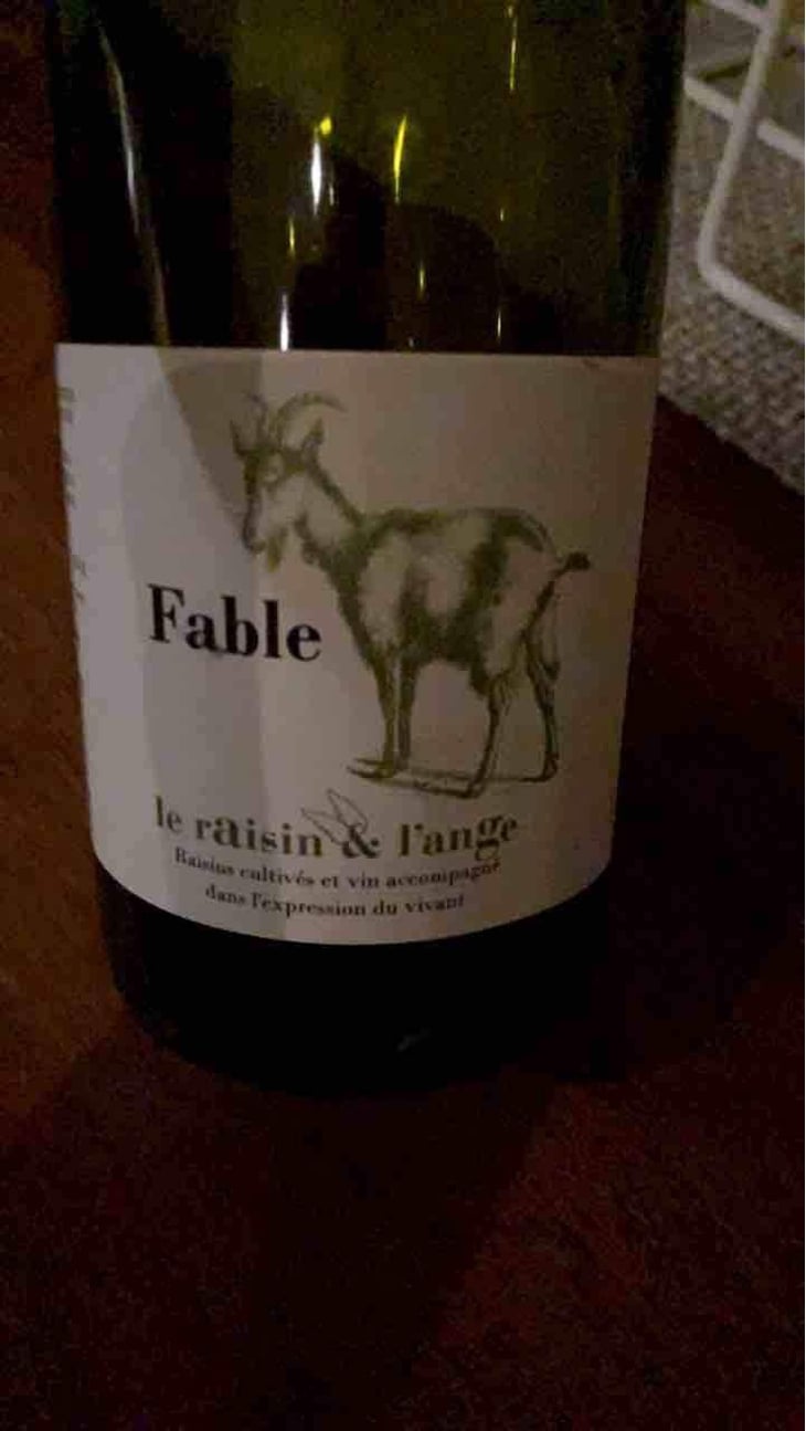 Fable - Le Raisin et l'Ange - Gilles & Antonin Azzoni 