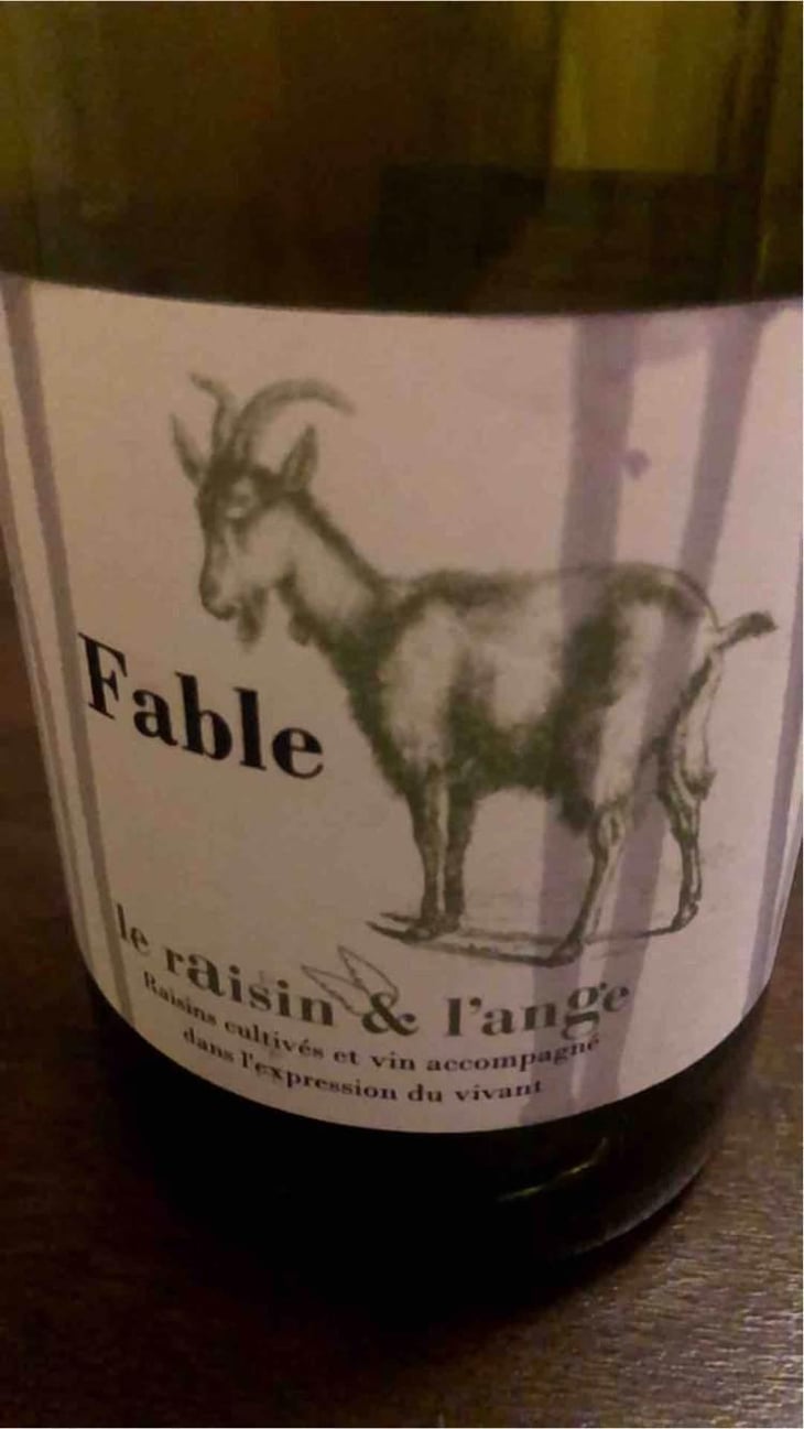 Fable - Le Raisin et l'Ange - Gilles & Antonin Azzoni 