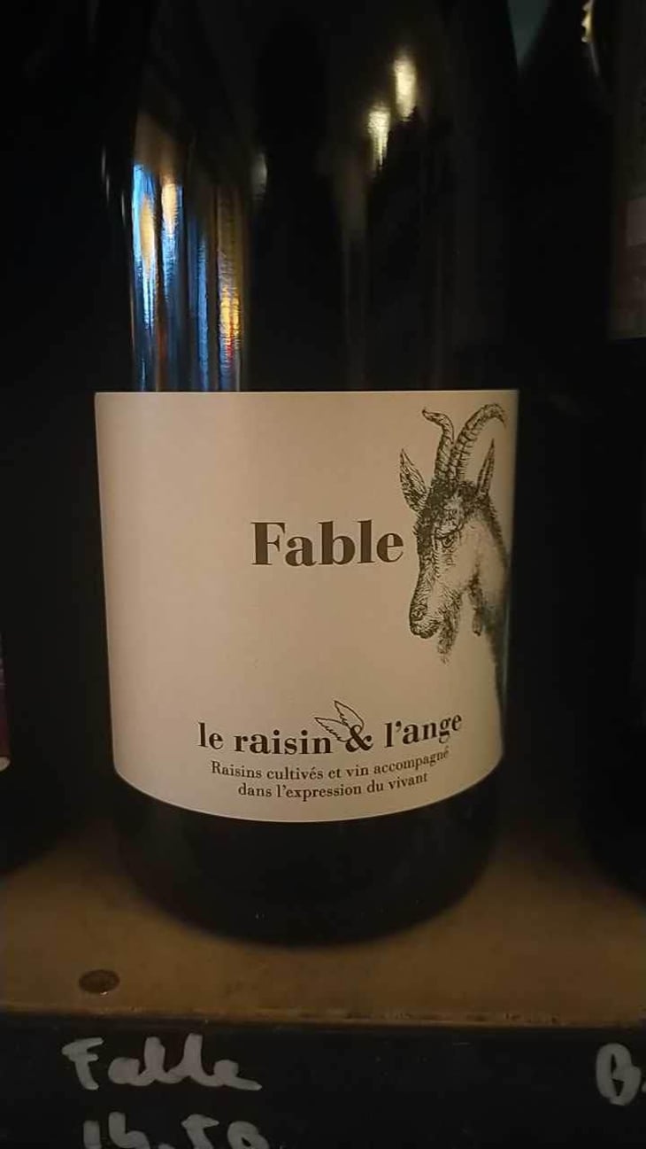 Fable - Le Raisin et l'Ange - Gilles & Antonin Azzoni 