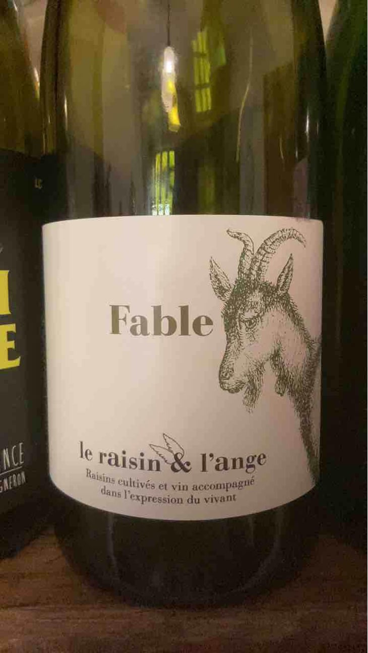 Fable - Le Raisin et l'Ange - Gilles & Antonin Azzoni 