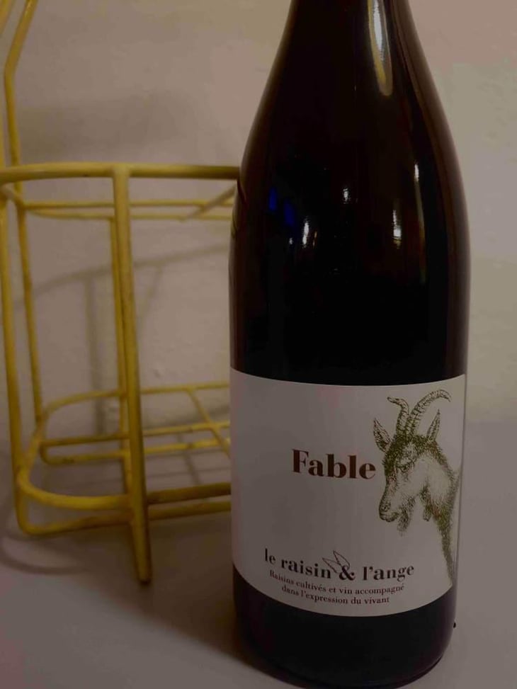 Fable - Le Raisin et l'Ange - Gilles & Antonin Azzoni 