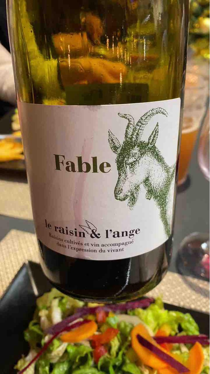 Fable - Le Raisin et l'Ange - Gilles & Antonin Azzoni 